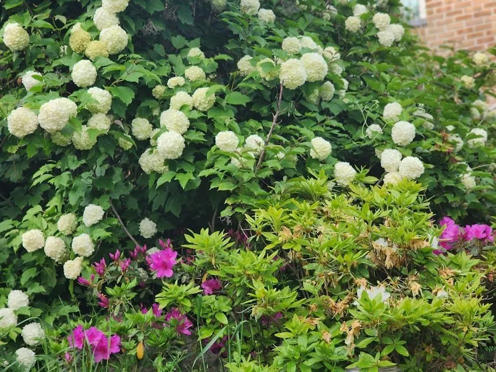 Rumah liburan Seonjaedo Shalom Private Pension Dangjin