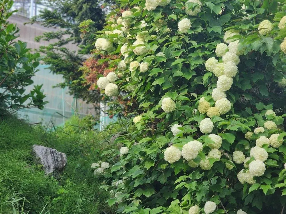 Seonjaedo Shalom Private Pension Dangjin South Korea