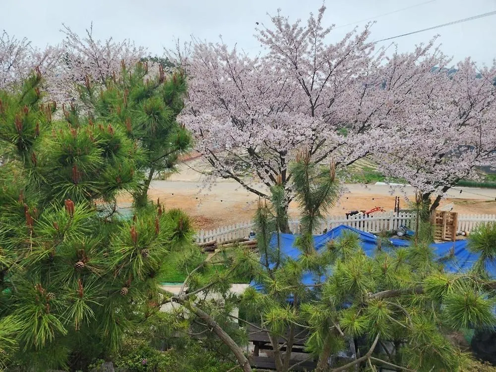 Seonjaedo Shalom Private Pension Dangjin Holiday home